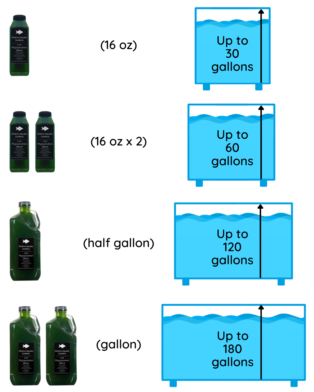 Live Phytoplankton - Six Species Blend