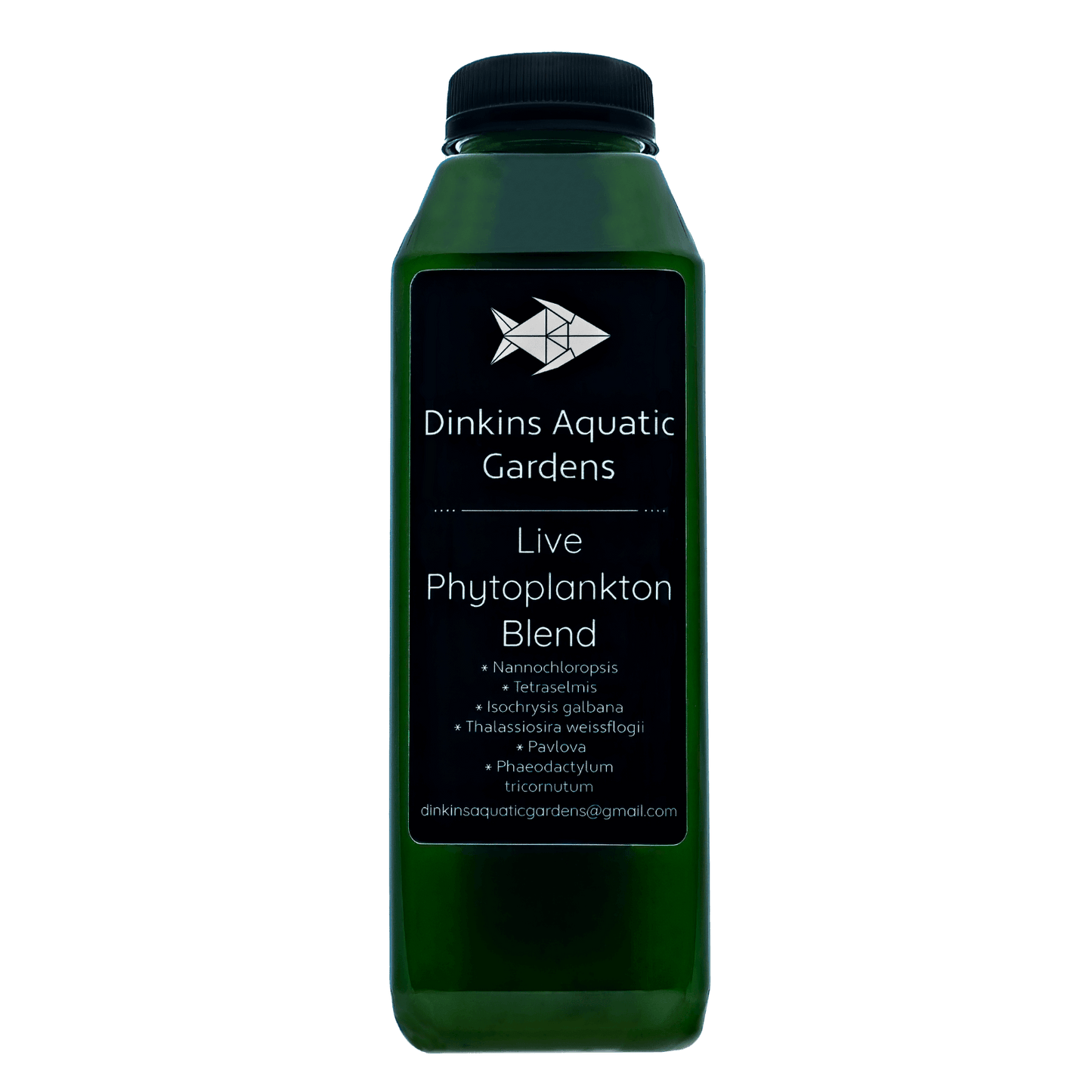 Live Phytoplankton - Six Species Blend