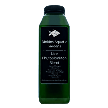 Live Phytoplankton - Six Species Blend